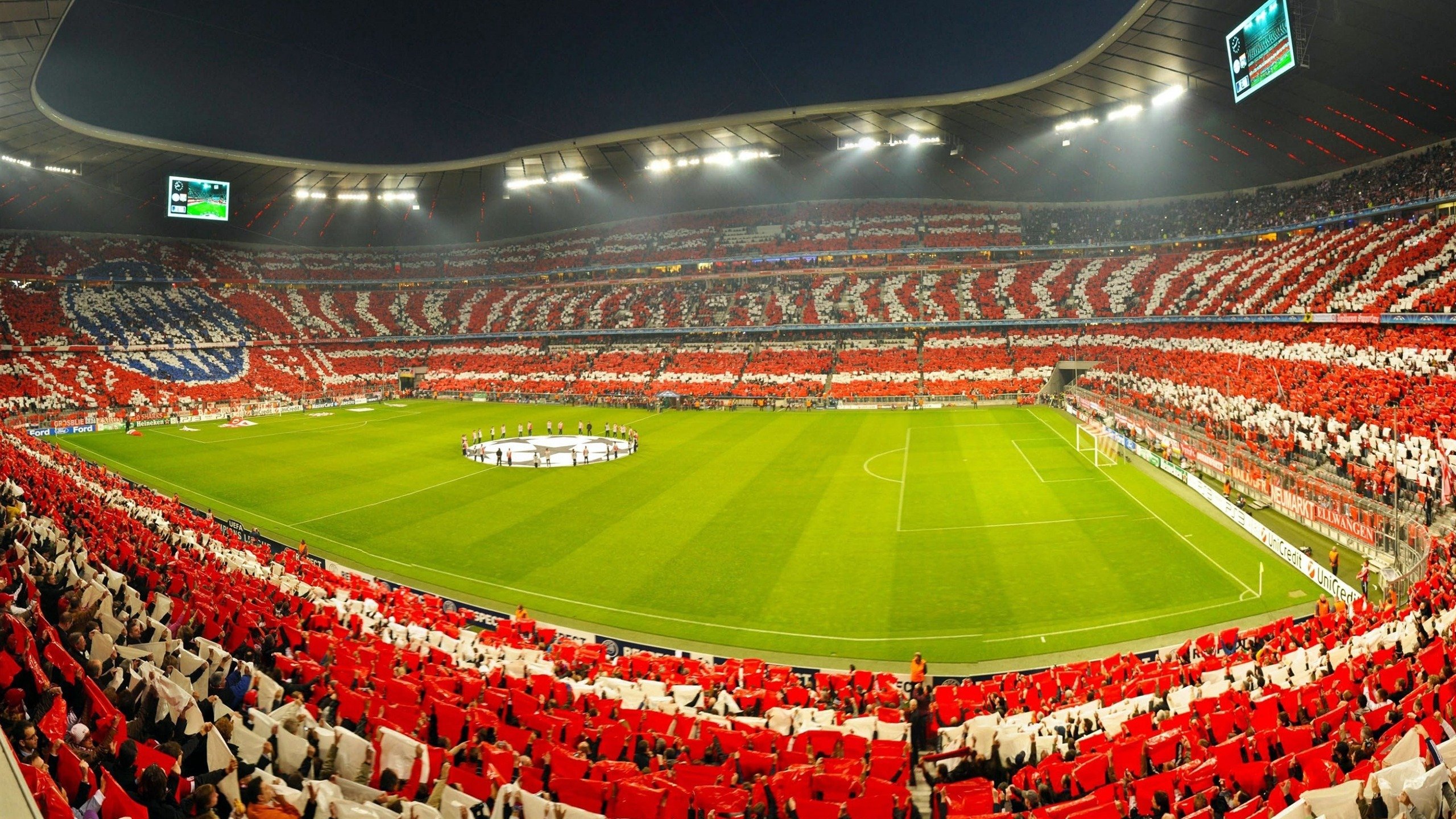 比利时马术协会与国际马术联合会合作，举办国际马术交流活动，促进技术交流。